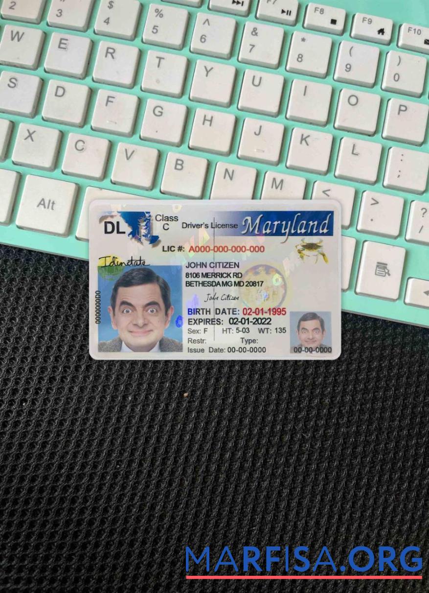 Blank USA Maryland driving license 2003 2016 photolook example
